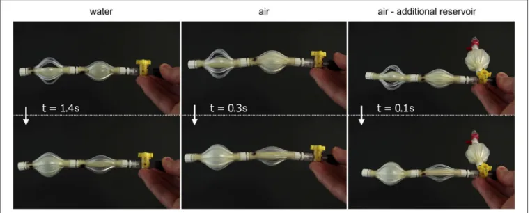 FIGURE 3 | Demonstration of the fast acting system based on elastic instabilities, as presented in Overvelde et al