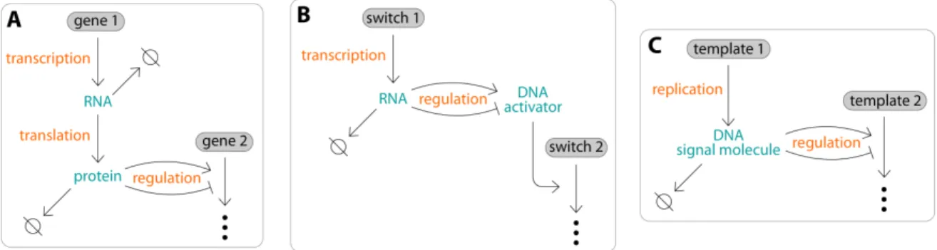 Figure 1.6: Schematic building blocks of in vivo reaction networks and in vitro analogs