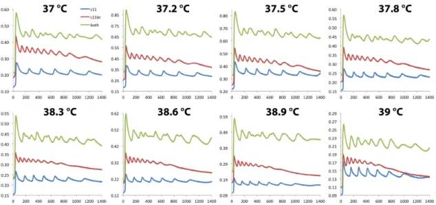 Figure 2.8: Two oligators in the same tube. Fluorescence time plots of EvaGreen, for the original oligator (C11, blue curves), the C11bt oligator (red curves) and the two ran in the same tube (green curves)