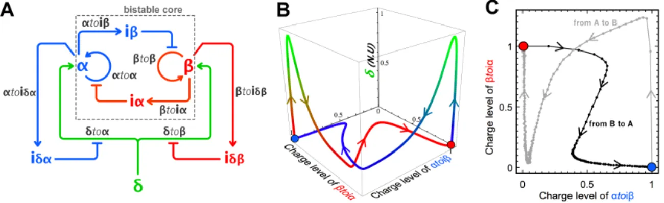 Figure 3.7: (A) Circuit of the push-push memory: a single external input d controls the bistable core.