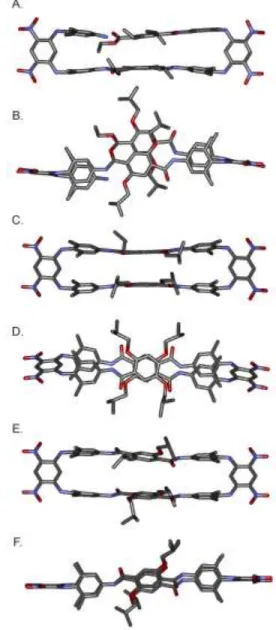 Figure 3. (A,B) Side view and top view of the crystal structure of  macrocycle precursor 6; (C,D) Side view and top view of the  en-ergy minimized conformation (Maestro version 6.5 using the MM3  force  field)  of  isobutoxy  macrocycle  5a  as  an  anti-p