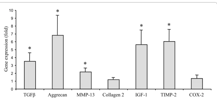 Figure 1 Effect of BMI on the constitutive expression of TGFβ, aggrecan, MMP-13, type 2 collagen, IGF-1, TIMP-2 and COX-2 in chondro- chondro-cytes obtained from OA patients