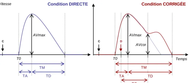 Figure II.7. Profils schématiques de vitesse de la main lors d’un mouvement de pointage d’une  cible visuelle en condition DIRECTE (courbe bleue) et en condition CORRIGÉE (courbe rouge)