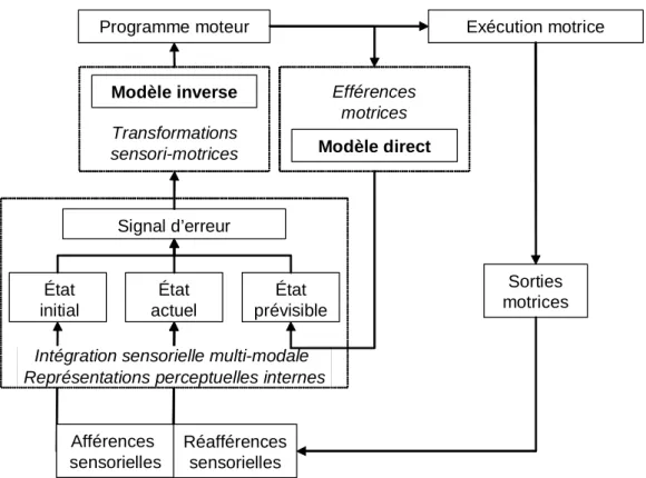 Figure  I.3.  Modélisation  des  opérations  nécessaires  à  la  préparation  et  à  l’exécution  d’un  mouvement d’atteinte dirigé vers une cible visuelle en présence des réafférences sensorielles
