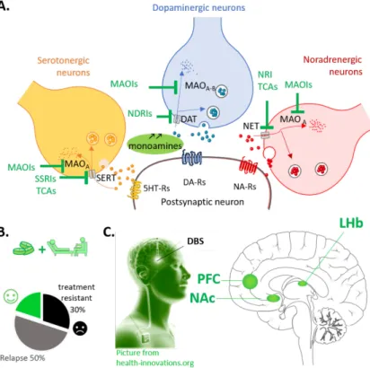 Figure 2.  Depression treatments 