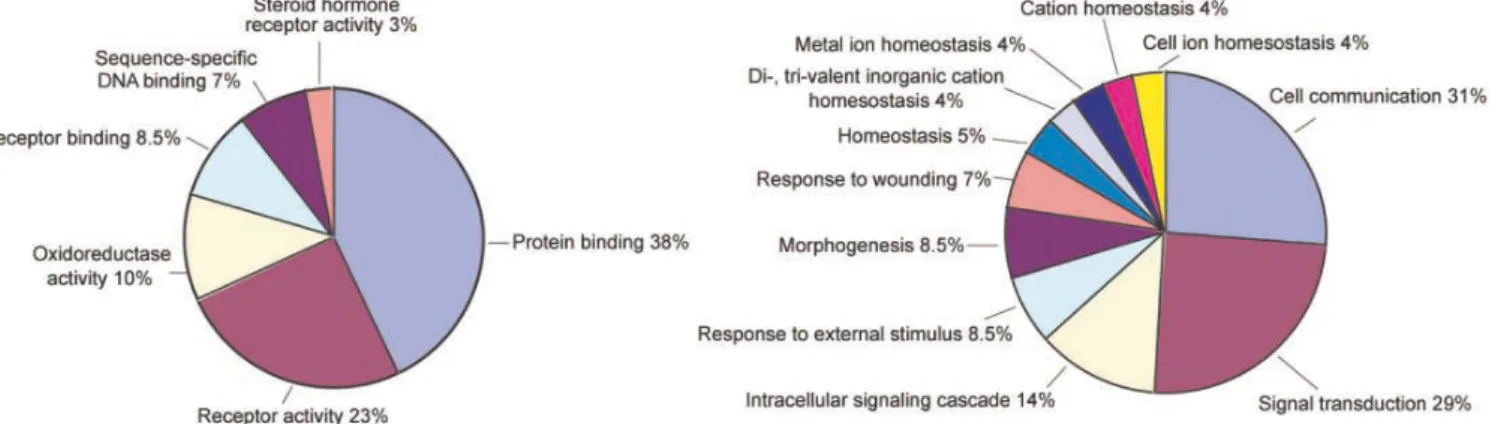 Figure 6. Gene Ontology categories of FOXP2 regulated genes in embryonic human frontal cortex  and basal ganglia