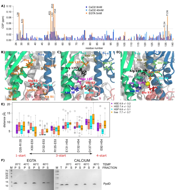 Figure 5. The effect of calcium binding on the overall interactions between subunits. (A) Histogram showing the CSP values of PpdD  240 