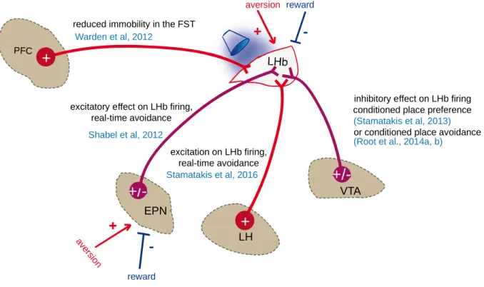 Figure 9 Contribution of inputs to the LHb to different motivational states 