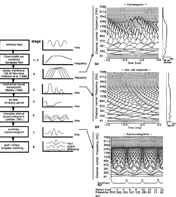Figure 2  Séquence de traitement du modèle auditif de Meddis &amp; Hewitt (1991a).