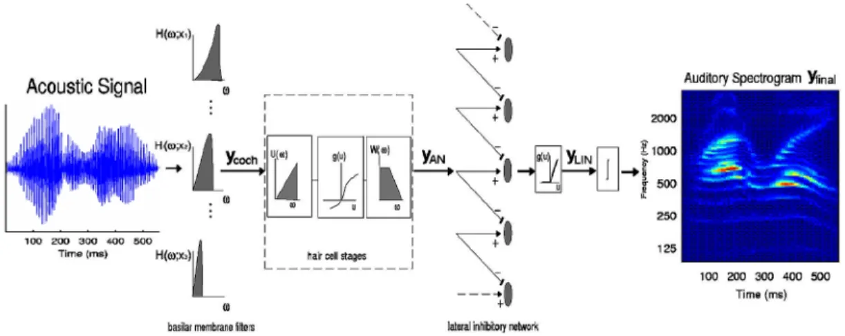 Figure 5  Schéma des étapes auditives primaires du modèle de Chi et al. (2005).