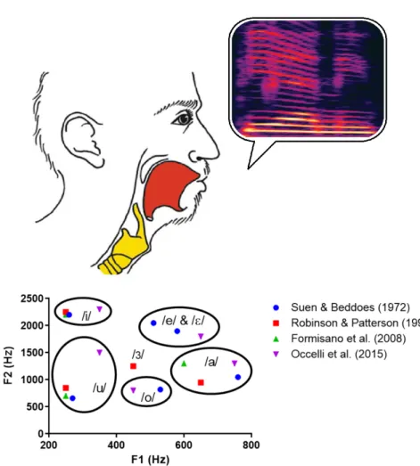 Figure 9  Mécanisme de production de la voix illustré par le codage des fréquences formantiques en voyelles