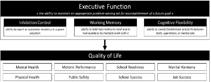 Figure 1. Resume of components of executive function and its relevance to some aspects of life  
