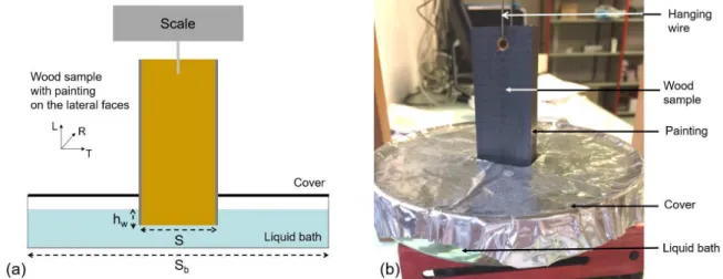 Figure  1.2:  Scheme  of  the  standard  imbibition  test  by  weighing.  a)  Principle  of  the 693 