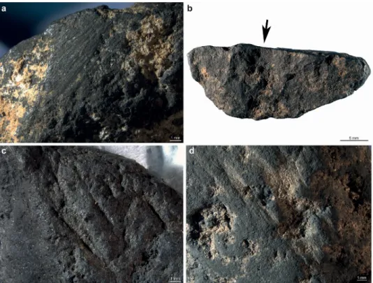 Fig 3. Traces of modifications identified on manganese-rich rocks. Modification types identified on manganese-rich rocks from Le Moustier