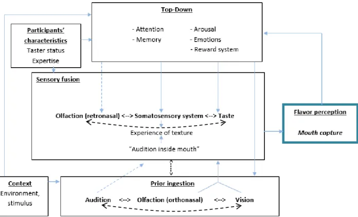 Figure 1: Typology of the bottom-up and top-down factors modulating flavor perception   