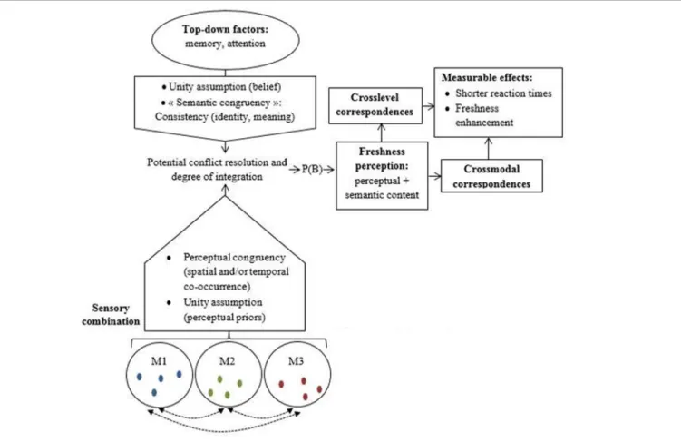 FIGURE 2 | Schematic sequences of the multisensory integration processes leading to freshness perception