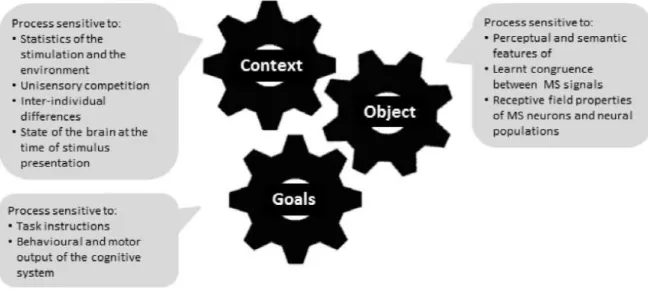 Figure 2: Typology of the top-down factors to which multisensory processes depend on  (retrieved from Ten Oever et al., 2016) 