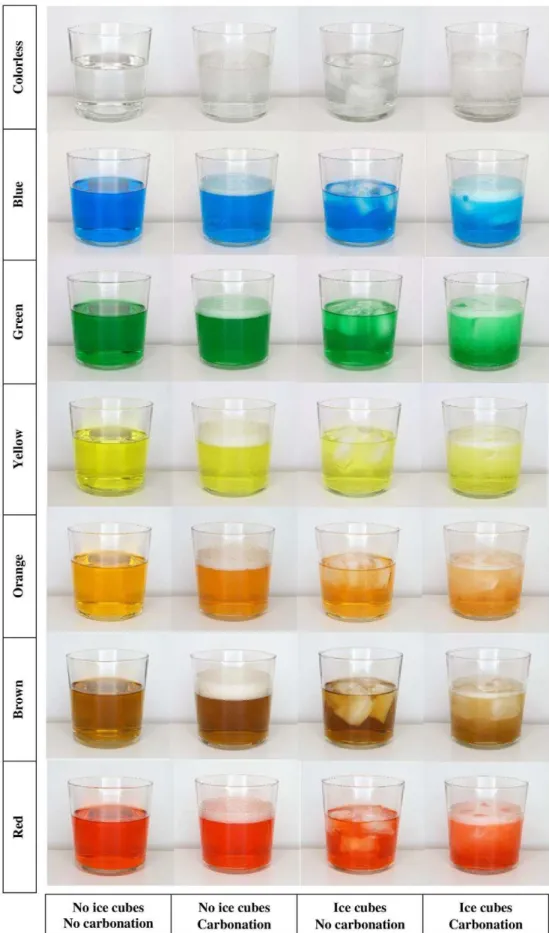 FIGURE 1 Pictures of the different visual stimuli used varying in temperature, carbonation, and color