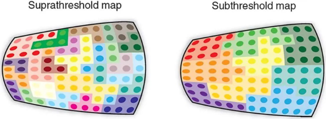 Figure 1-12. Schematic tonotopy of superficial layers in the mouse AI. 