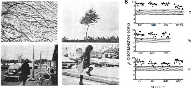 Figure 1-20. Pictures used to trained different groups of  pigeons and generalization results