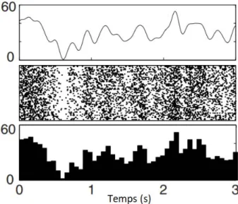 Figure 2.13  PSTH. (Haut) Simulation du taux de décharge à l'aide d'un processus de Poisson.