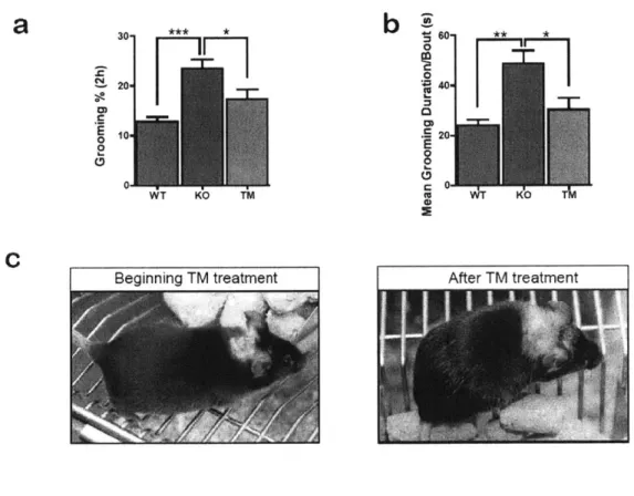Figure  7.  Adult  Shank3  expression  rescues  grooming-induced  lesions.