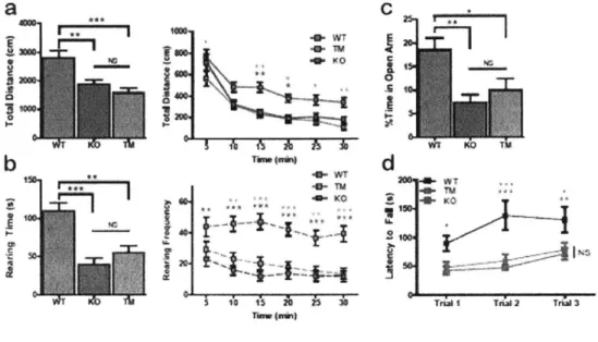Figure  9.  Restoring Shank3  expression  in  adulthood  does  not  rescue  anxiety and  rotarod  deficits