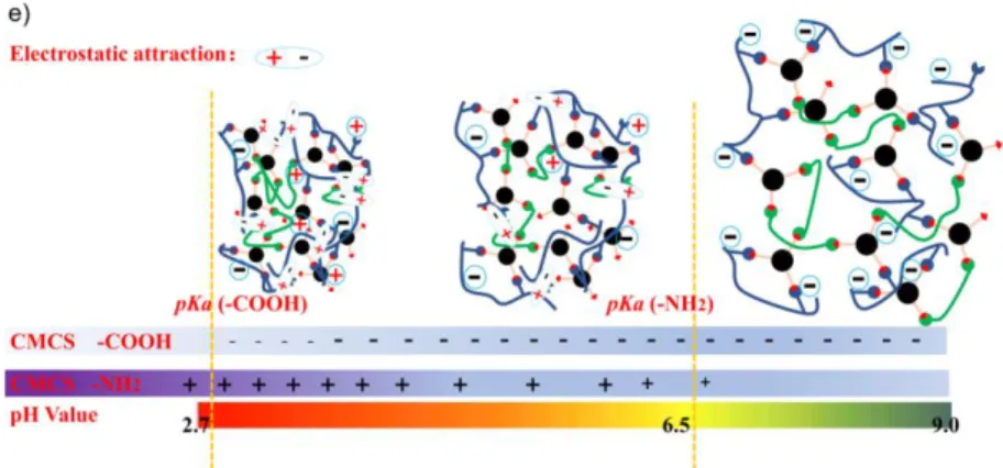 Fig. 6. a) Equilibrium swelling ratios, and b) Mass loss ratios of Gel1-1, Gel2-1, Gel4-1, Gel6-1, 337 