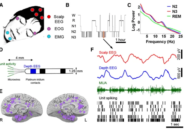 Figure 1-1 Sleep studies and data overview 
