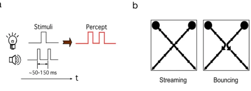 Fig. 1. Visual illusions caused by sound. (a) The stream-bounce illusion reported by Sekuler et al