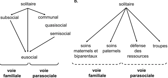 Figure 1 : a)  Les deux principales voies de socialisation selon Lin et Michener. Modifiée d’après Lin  et Michener (1972)