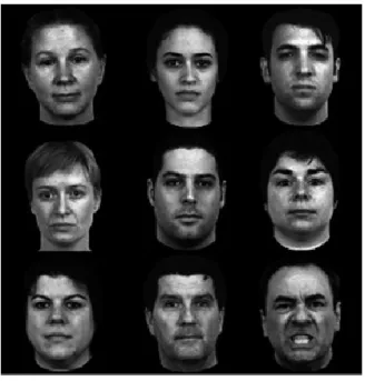 Figure 9. From Pinkham et al. (2010). Example stimulus matrix from the visual search task showing an  angry face among neutral faces
