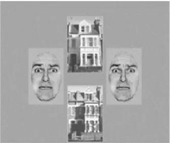 Figure 10. From Vuilleumier et al. (2001). Example stimulus of the filtering task. 