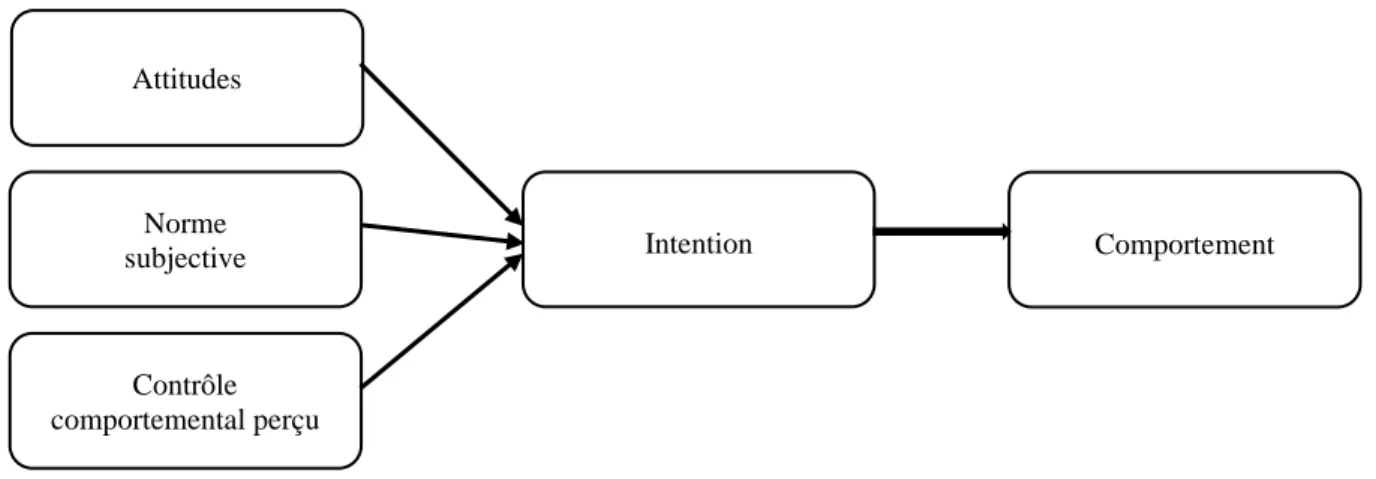 Figure  1.  Principales  composantes  de  la  théorie  de  l’action  raisonnée  et  du  comportement  planifié (Fishbein &amp; Ajzen, 1975 ; Ajzen, 1991)