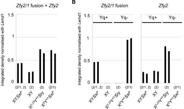 Fig 6. Levels of Cypt -dependent transcripts for XY Sxr b , XY, X E,Z2 Y * X Sry and X E Y * X Sxr b 
