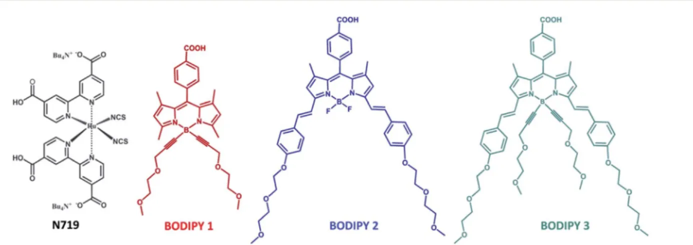 Fig. 1 Molecular structures of the commercial dye N719 and the synthesized BODIPY dyes: B1, B2 and B3.