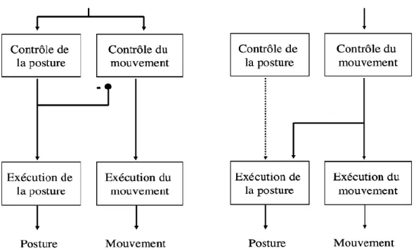 Figure 10 : Schématisation des deux modes d’organisation entre posture et mouvement. 