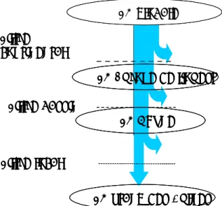Figure 1 : Représentation du modèle selon lequel les faunes piscicoles (FP) locales résultent du  passage d'un pool d'espèces au travers d'une série de cribles de plus en plus fins