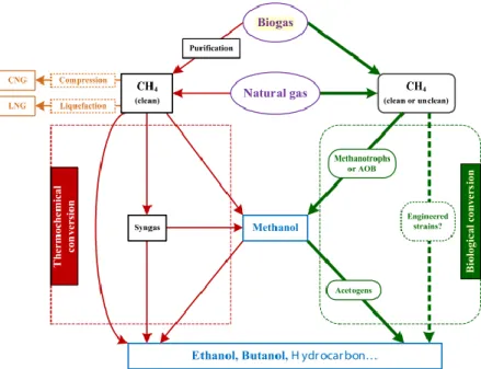 Figure 2.4: Comparison between the thermochemical and biological conversion pathways  for liquid fuel production from methane (Ge et al., 2014)