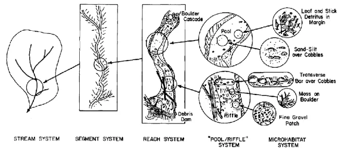 Figure 8. Relations hiérarchiques entre l'habitat et les caractéristiques du paysage des cours d'eau