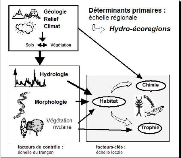 Figure 9. Cadre conceptuel de la régionalisation : représentation schématique de l’emboîtement  hiérarchique des facteurs de contrôle des écosystèmes d’eau courante (d’après Wasson et al., 2002) 