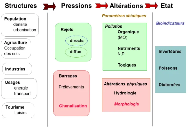 Figure 12. Adaptation du concept DPSIR pour la représentation de l’action humaine sur l’état  écologique des cours d’eau 