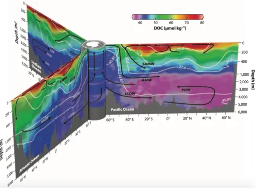 Fig. 4 Observations of DOC in the central Atlantic, central Pacific, and eastern Indian Ocean,  with all lines connected via the Antarctic circumpolar currents (Hansell, 2013)