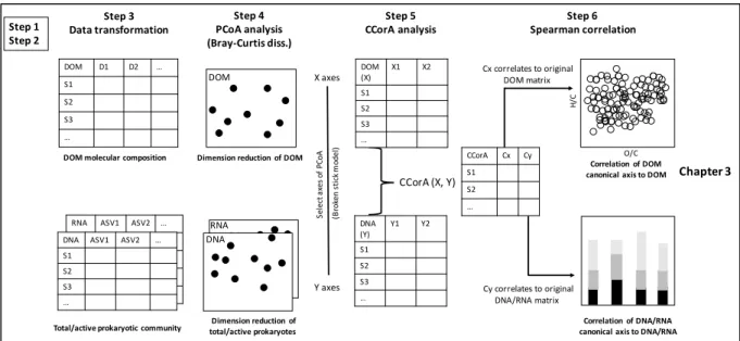Fig.  4  Flowchart  of  prokaryote-DOM  association  analysis  (Chapter  3).  Steps  1  and  2  were  processed the same as Fig