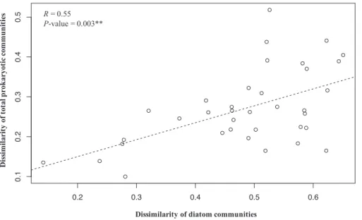 Fig. 4. Relationship between changes in the community composition of  dia-toms and of total prokaryotes for the Southern Ocean stations (SAZ, PFZ and AAZ excluding station BDT)