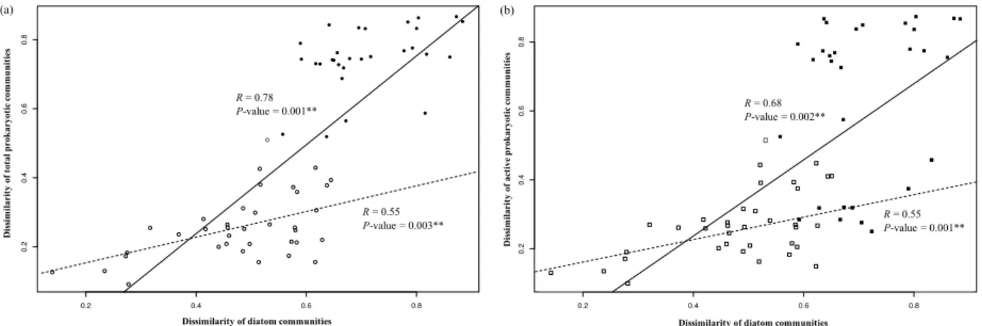 Fig.  S4.  Relationship  between  changes  in  prokaryotic  and  diatom  communities.  Each  point  represents the Bray–Curtis dissimilarity between pairs of samples