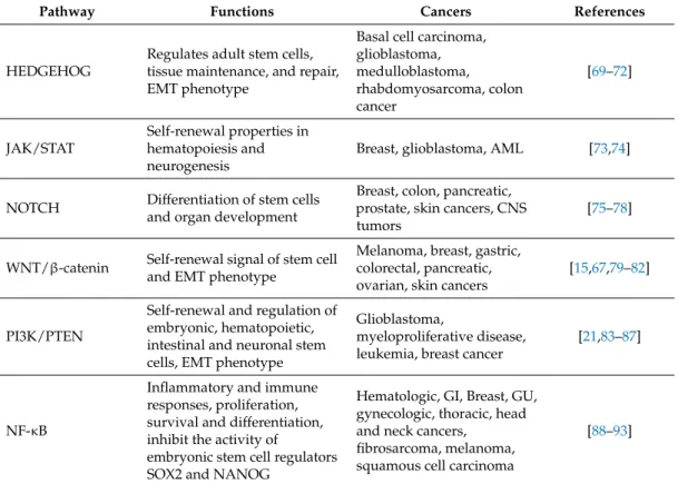 Table 2. Cancer stem cells pathways.