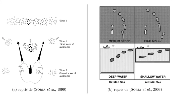 Fig. 3.2 – Mod` eles d’´ evitement lat´ eral du bateau propos´ es par Soria et al. (1996) (a) ; puis Soria et al