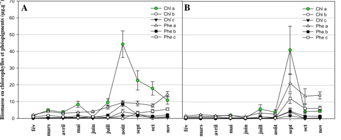 Figure  1.3 :  Variations  des  teneurs  moyennes  en  chlorophylles  et  phéopigments  (µg.g -1 )  (±  ES)  des  sédiments  intertidaux  au  sein  de  la  Garonne  (A)  et  de  la  Dordogne  (B)  estuariennes  de  février  à  novembre 2011