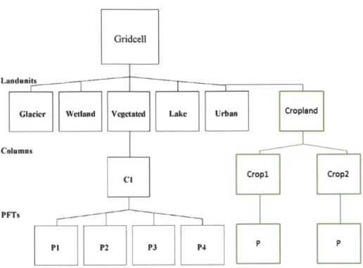 Figure  3-3:  The CLM-AG  structure.  Changes  to the  usual CLM  structure  are represented in green